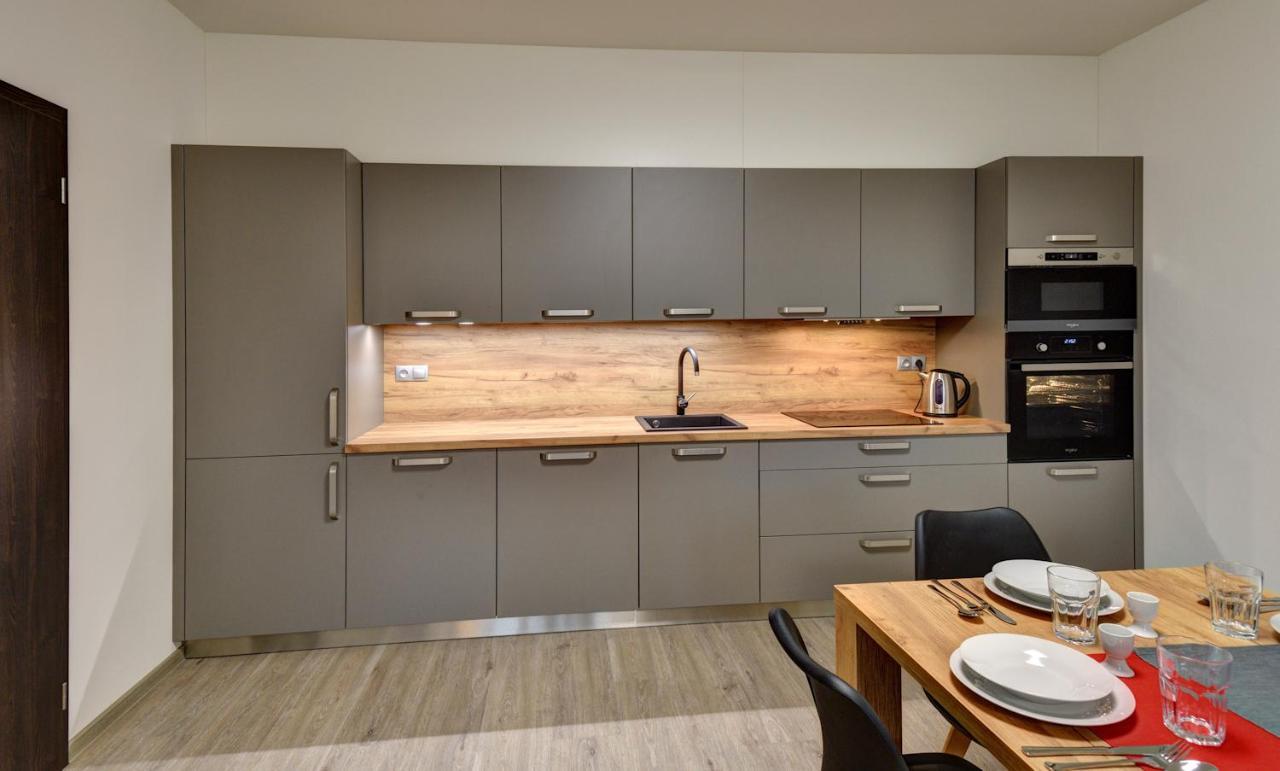 Apartmany Sunny Lipno Lipno nad Vltavou Εξωτερικό φωτογραφία